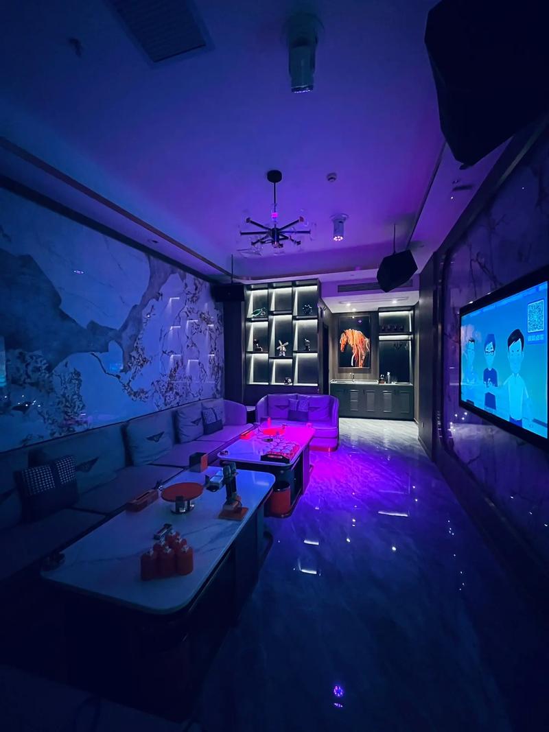 淄博商务ktv了解一下-桓台县ktv预订